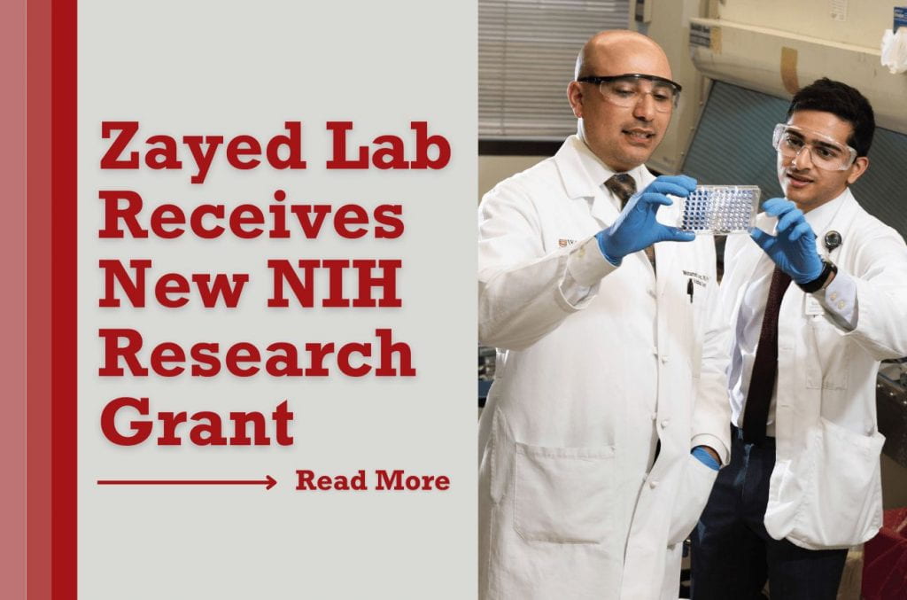 Zayed Lab Receives New NIH Research Grant for Studying Impact of Diabetes on Vascular Disease